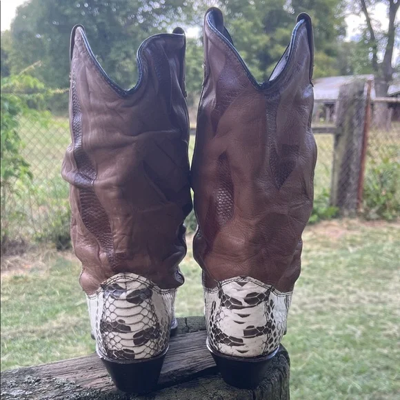 Dingo Brown and White Snake Print Heeled Boots - Picture 5 of 11